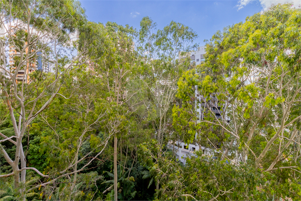 APARTAMENTO em MORUMBI