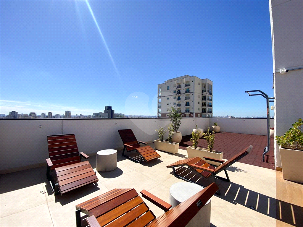 Apartamento na  Vila Paulicéia 2 dormitórios