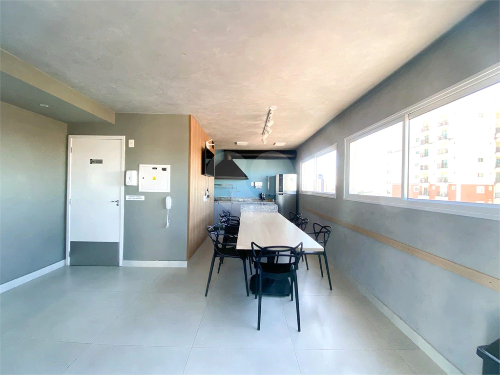 Apartamento na  Vila Paulicéia 2 dormitórios