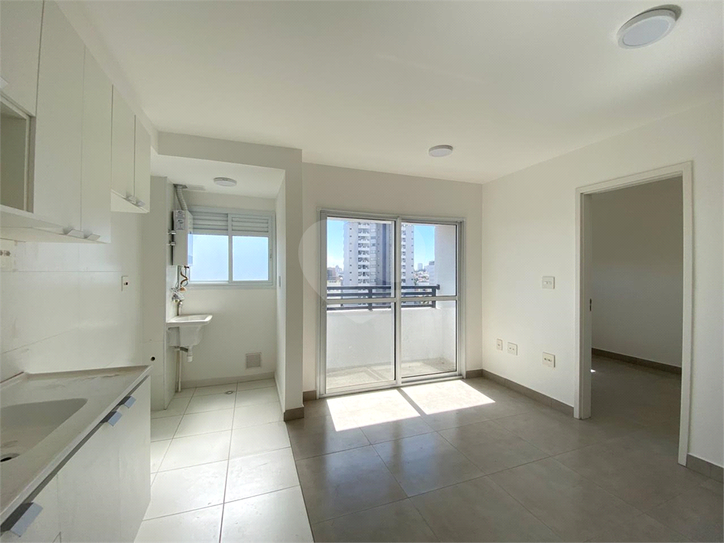 Apartamento na  Vila Paulicéia 2 dormitórios