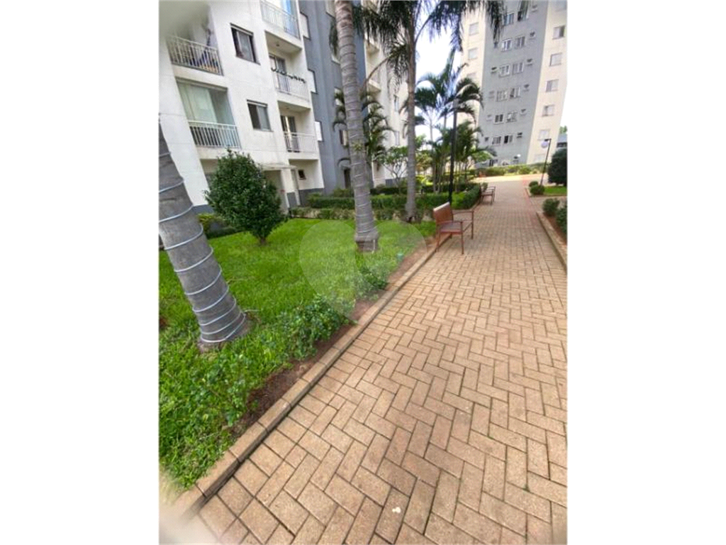 Apartamento Parque Novo Mundo 