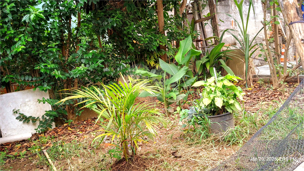 Terreno, 250 m² - Foto 20