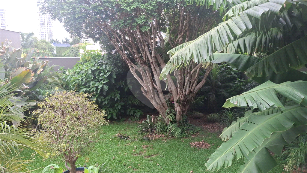 CASA em ALTO DA LAPA
