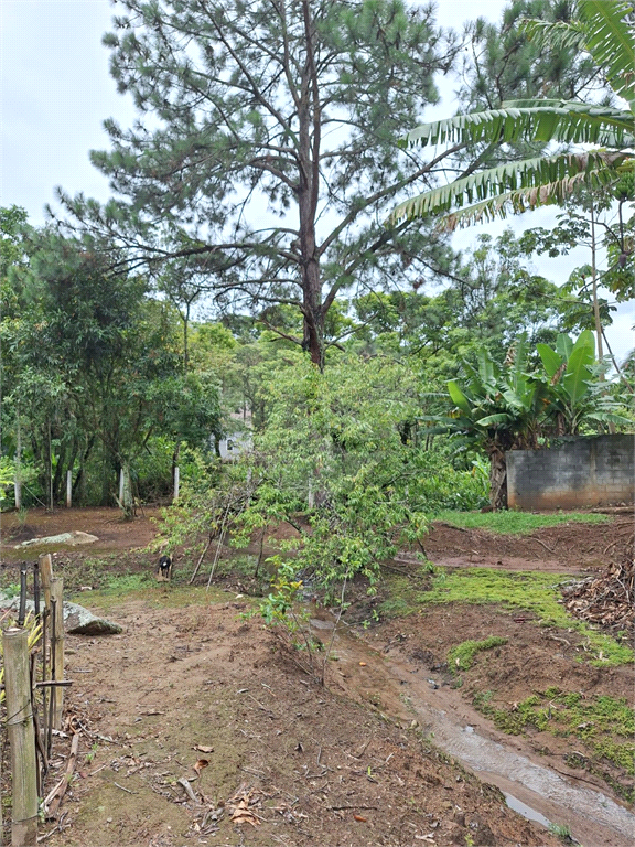 Linda chácara para venda na Cidade de Extrema/MG