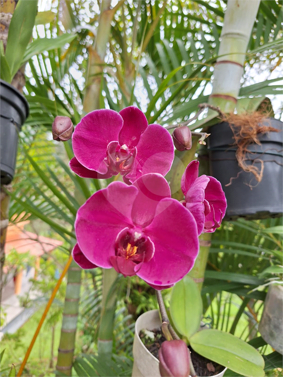 Linda chácara para venda na Cidade de Extrema/MG