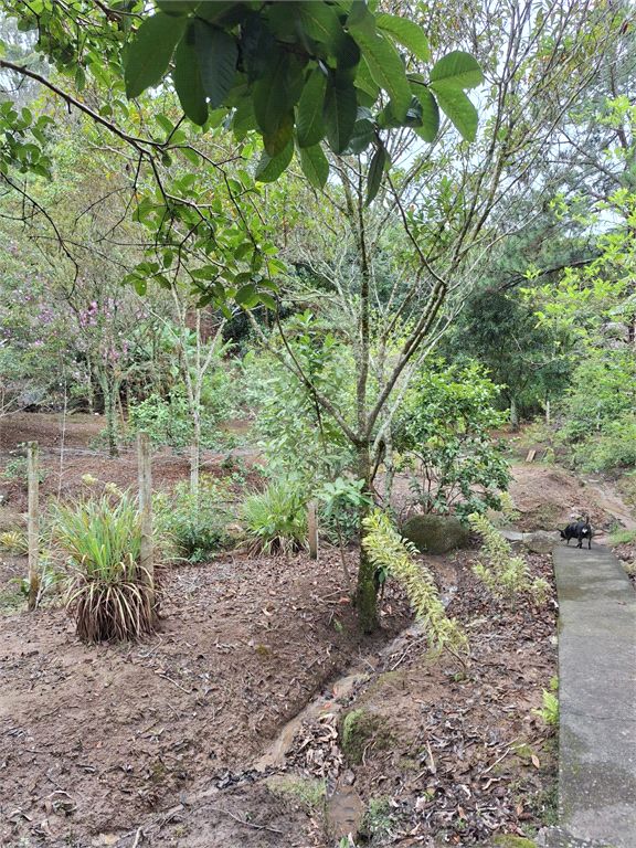 Linda chácara para venda na Cidade de Extrema/MG
