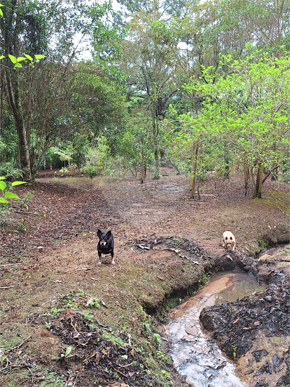 Linda chácara para venda na Cidade de Extrema/MG