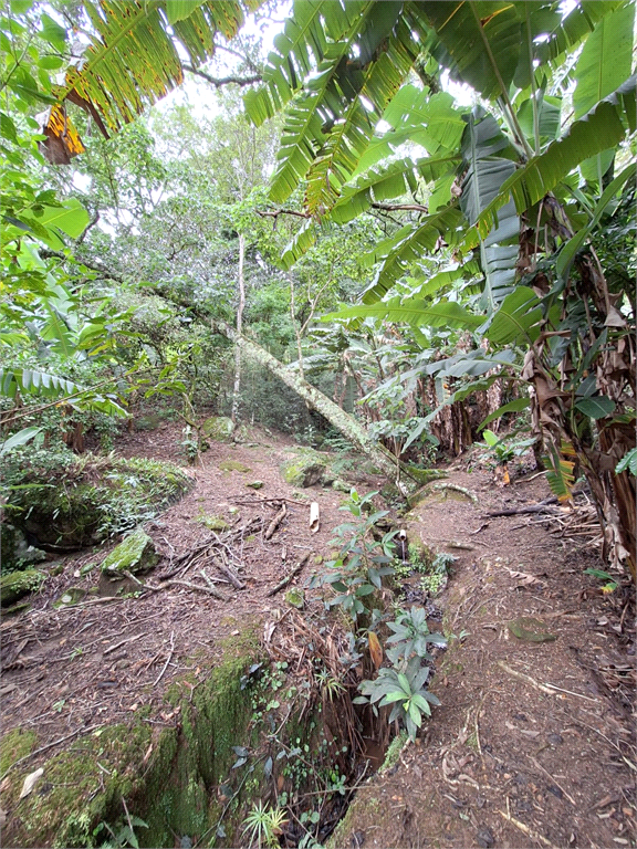 Linda chácara para venda na Cidade de Extrema/MG