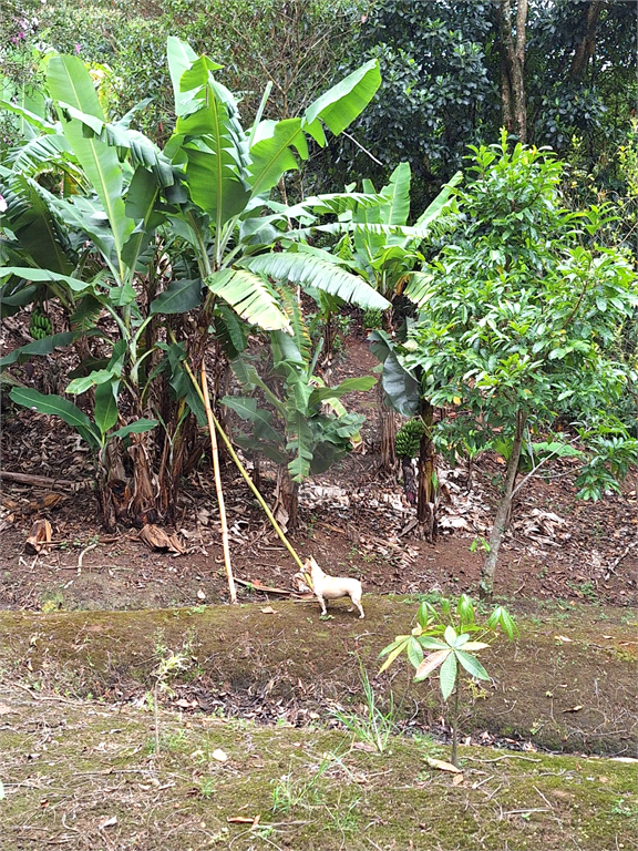 Linda chácara para venda na Cidade de Extrema/MG