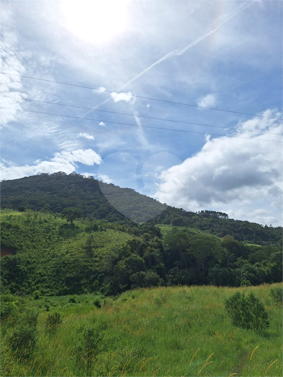 Sítio de 8 alqueires á venda em Joanópolis