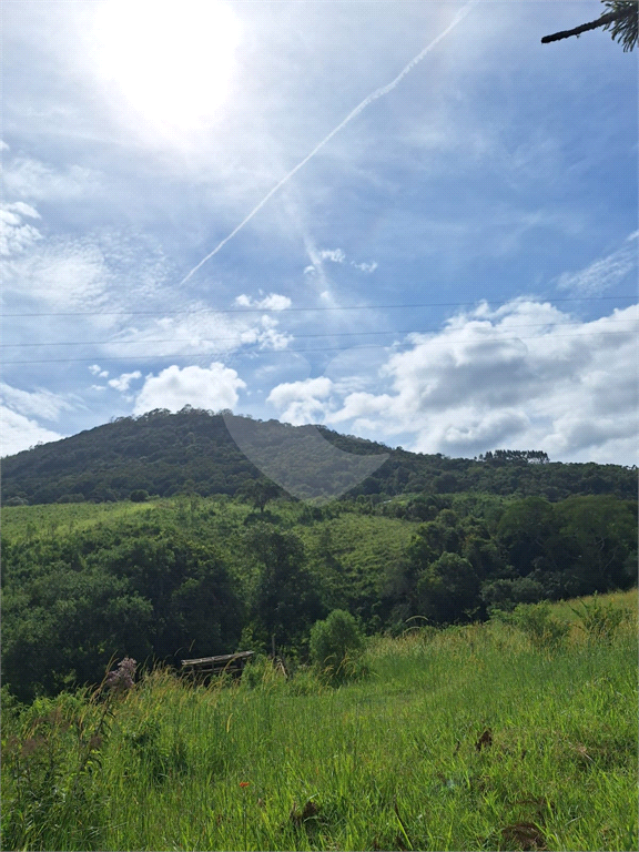 Sítio de 8 alqueires á venda em Joanópolis