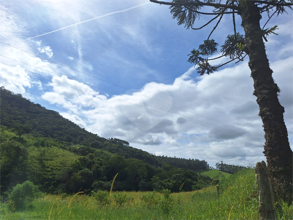 Sítio de 8 alqueires á venda em Joanópolis