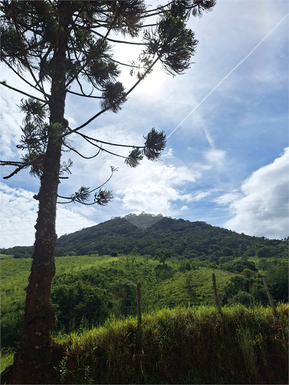 Sítio de 8 alqueires á venda em Joanópolis