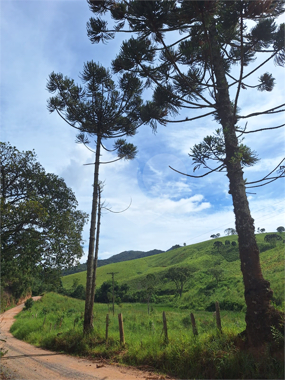 Sítio de 8 alqueires á venda em Joanópolis