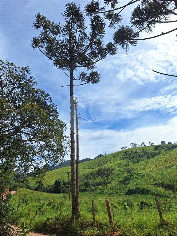 Sítio de 8 alqueires á venda em Joanópolis
