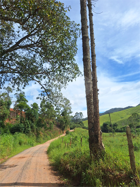 Sítio de 8 alqueires á venda em Joanópolis