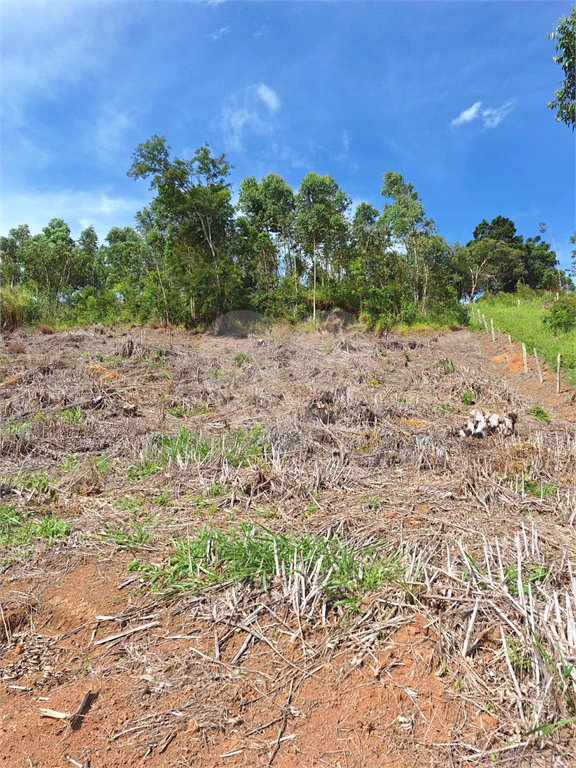 Lotes com 800m2 cada á venda em Joanópolis