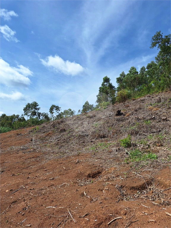 Lotes com 800m2 cada á venda em Joanópolis