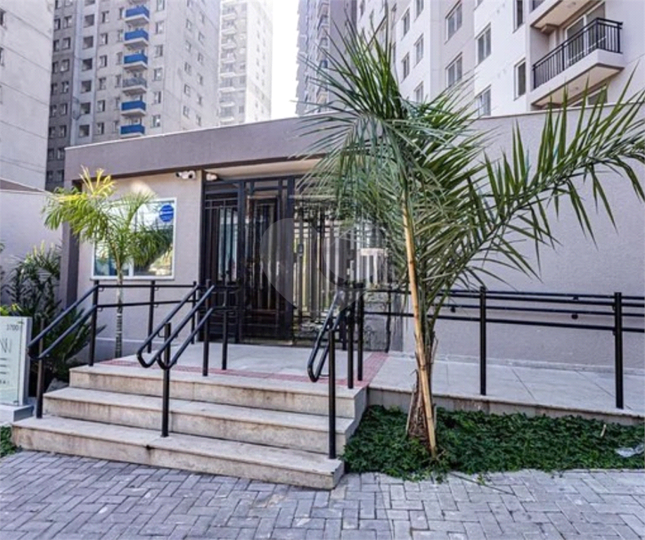 Apartamento&nbsp;S�o Paulo &nbsp;Vila Pirituba &nbsp;