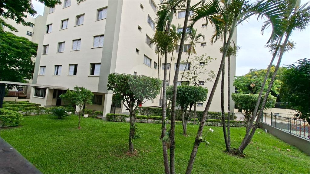 Apartamento Venda Locação 2 dormitórios 1 banheiro 1 sala 1 vaga Mandaqui