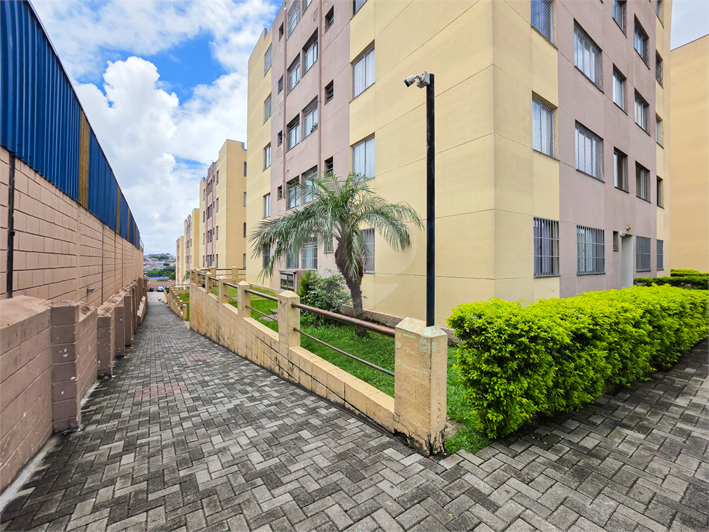 Apartamento - Guaianazes - 3 Quartos / Dormitórios - 1 Vaga - Venda / Compra