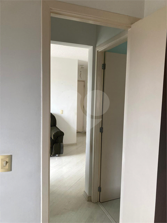 Apartamento Lauzane Paulista