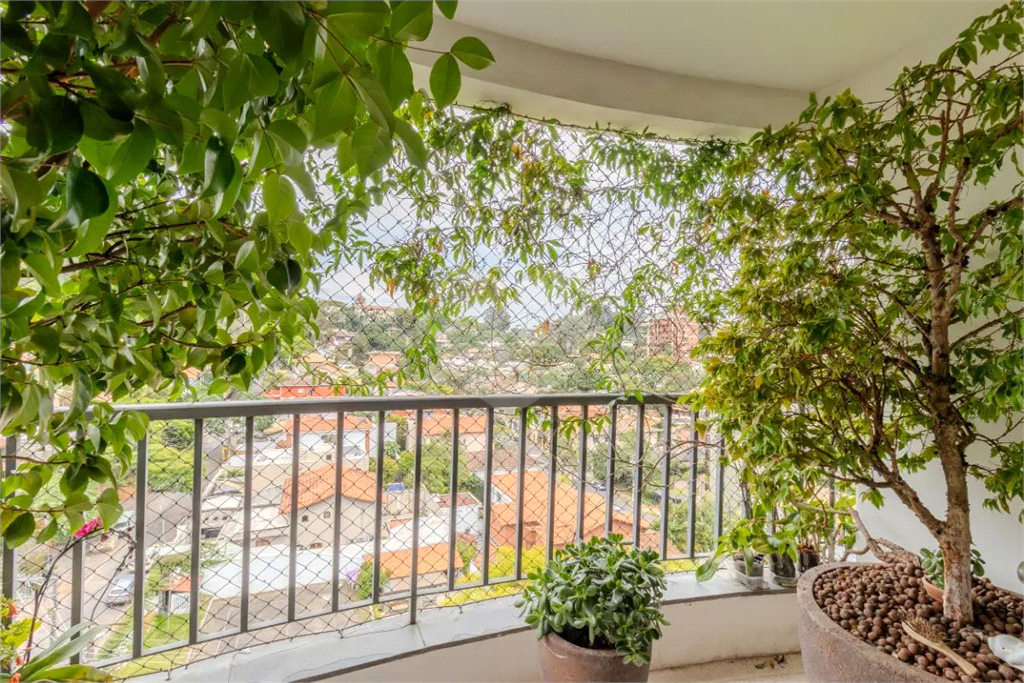 Apartamento à venda - Vila Morumbi 