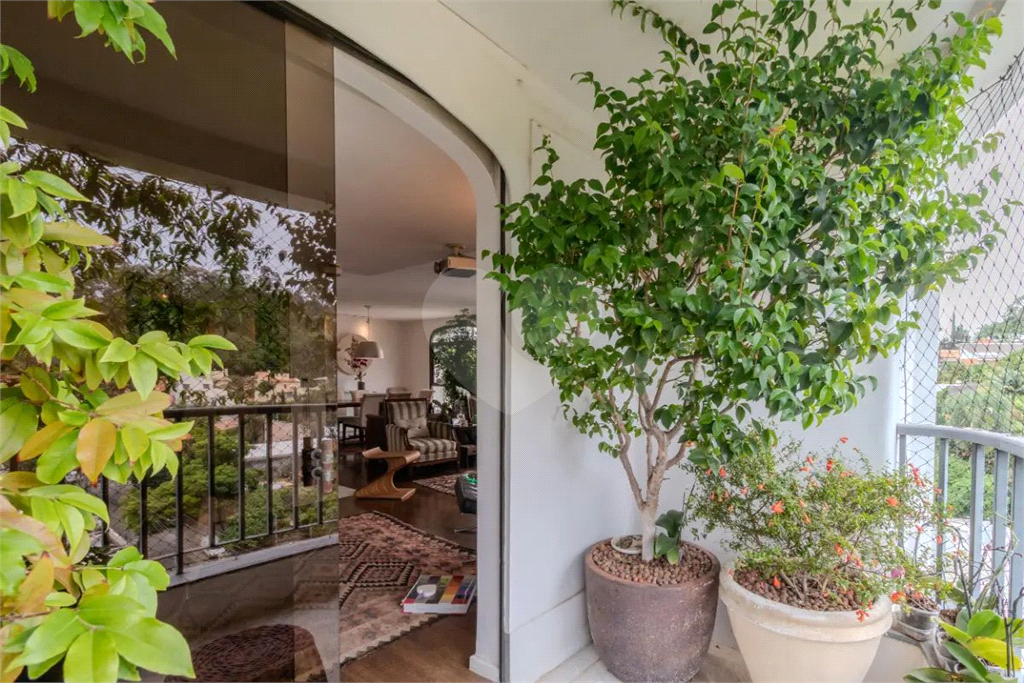 Apartamento à venda - Vila Morumbi 