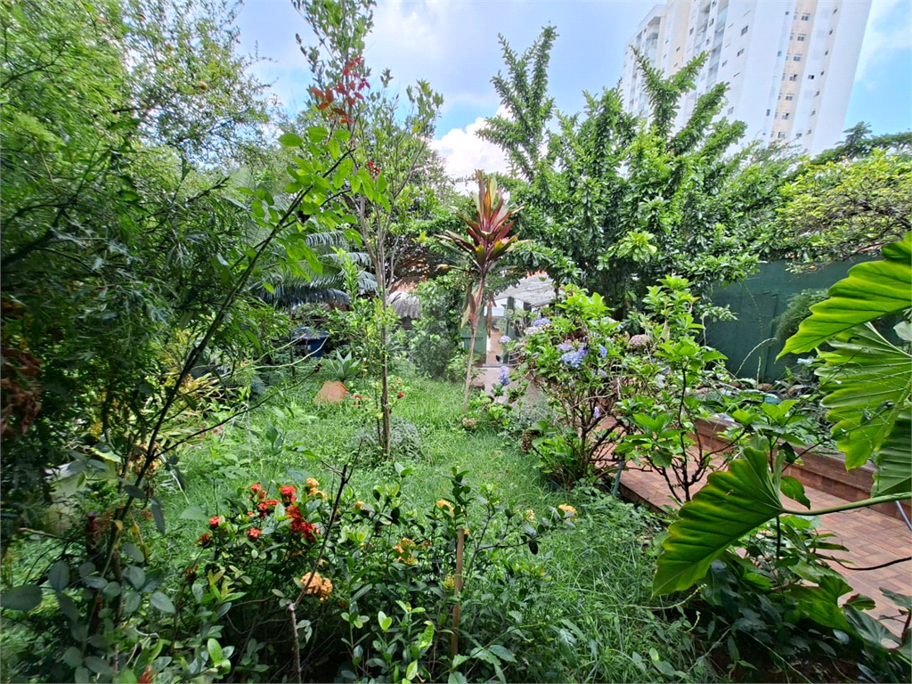 Casa - Venda - Locação - Tucuruvi