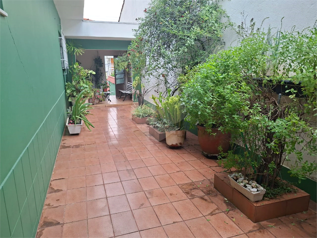 Casa - Venda - Locação - Tucuruvi