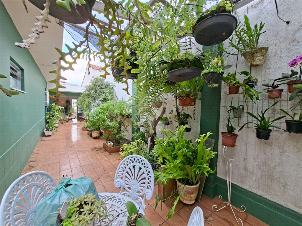 Casa - Venda - Locação - Tucuruvi