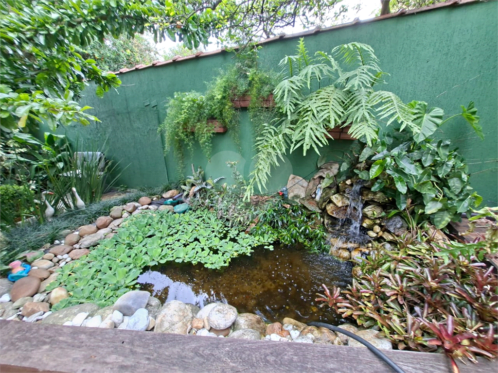 Casa - Venda - Locação - Tucuruvi