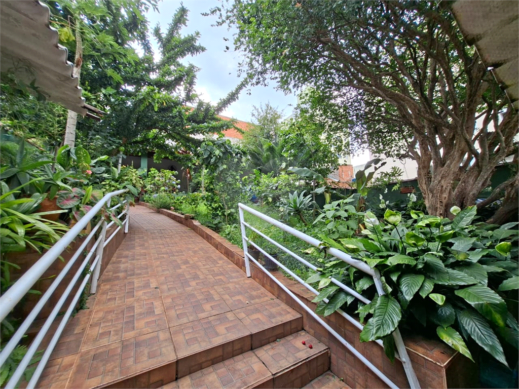 Casa - venda - locação - Tucuruvi