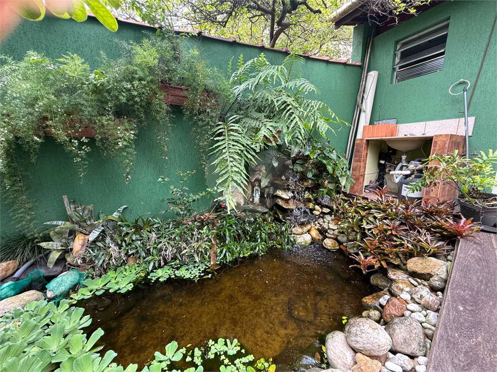 Casa - venda - locação - Tucuruvi