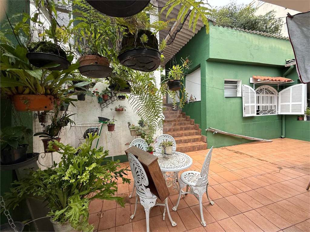 Casa - venda - locação - Tucuruvi