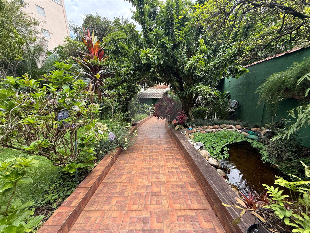 Casa - venda - locação - Tucuruvi