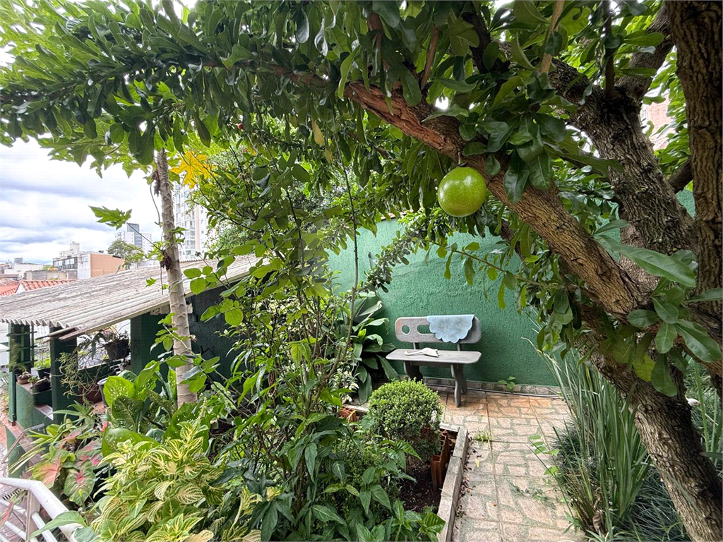 Casa - venda - locação - Tucuruvi