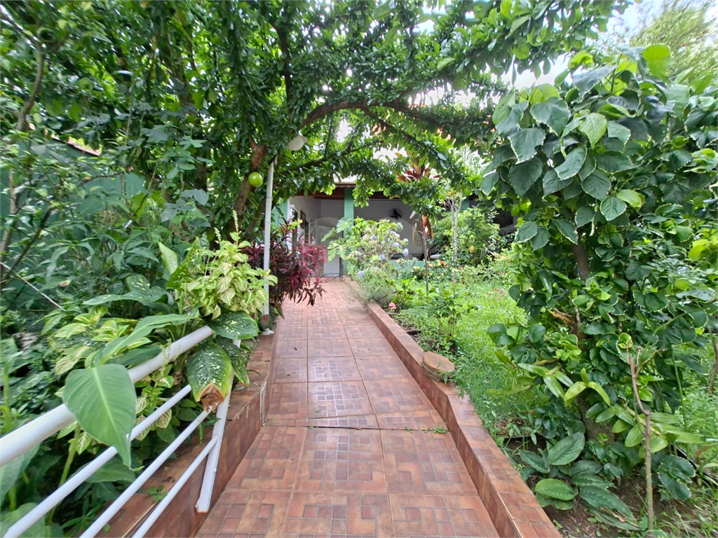 Casa - venda - locação - Tucuruvi