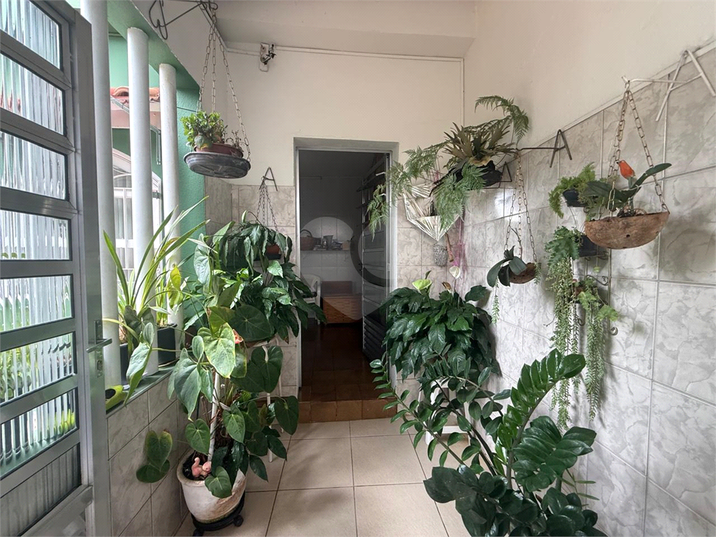 Casa - venda - locação - Tucuruvi