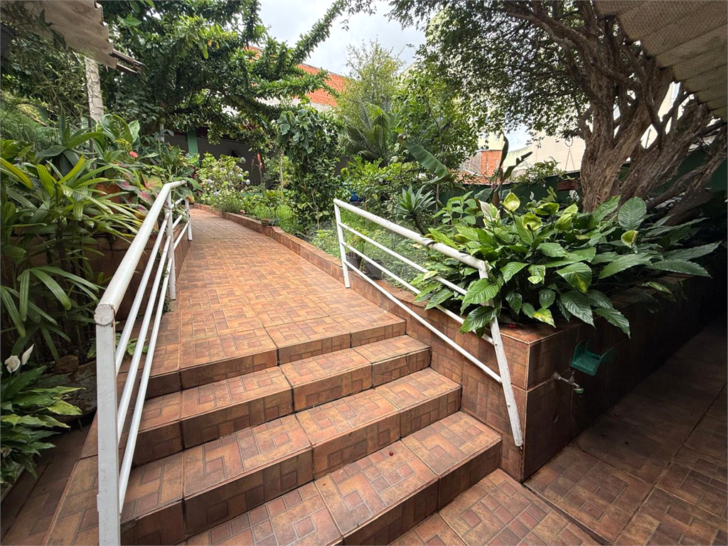 Casa - venda - locação - Tucuruvi