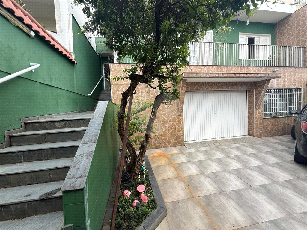 Casa - venda - locação - Tucuruvi