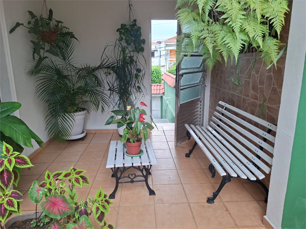 Casa - venda - locação - Tucuruvi