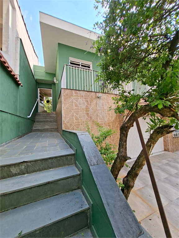 Casa - venda - locação - Tucuruvi