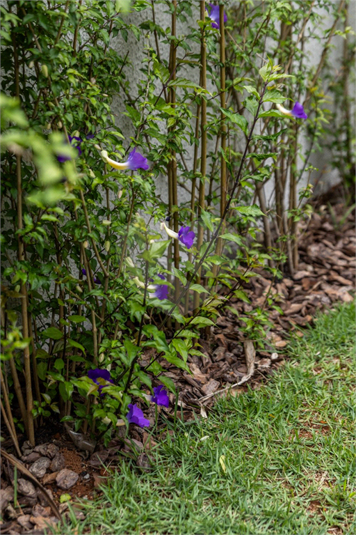 Casa de Condomínio, 3 quartos - Foto 21
