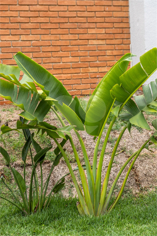 Casa de Condomínio, 3 quartos - Foto 19