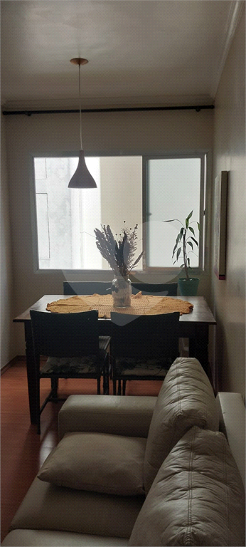 Apartamento - Parque Paineras - Itaquera - 3 Quartos - 1 Vaga - Venda / Compra