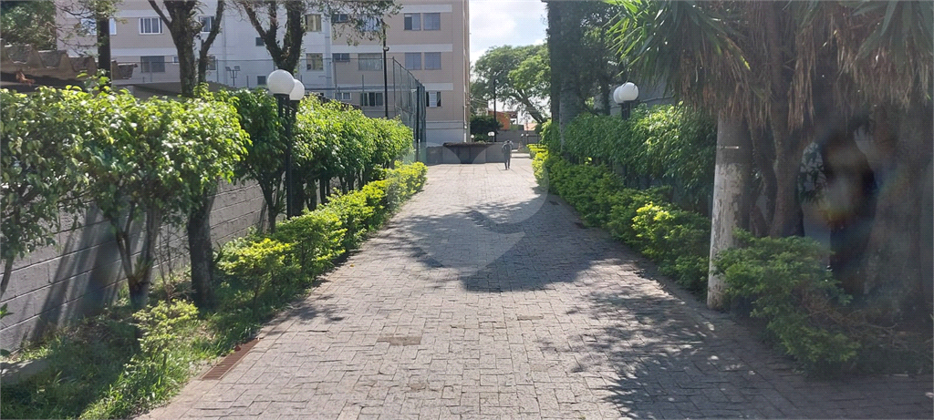 Apartamento - Parque Paineras - Itaquera - 3 Quartos - 1 Vaga - Venda / Compra