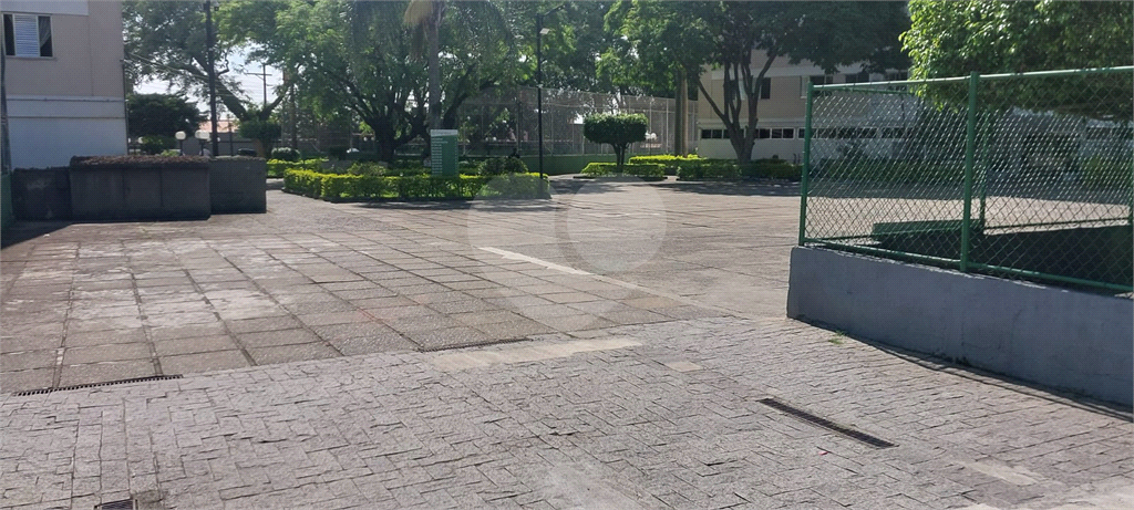 Apartamento - Parque Paineras - Itaquera - 3 Quartos - 1 Vaga - Venda / Compra