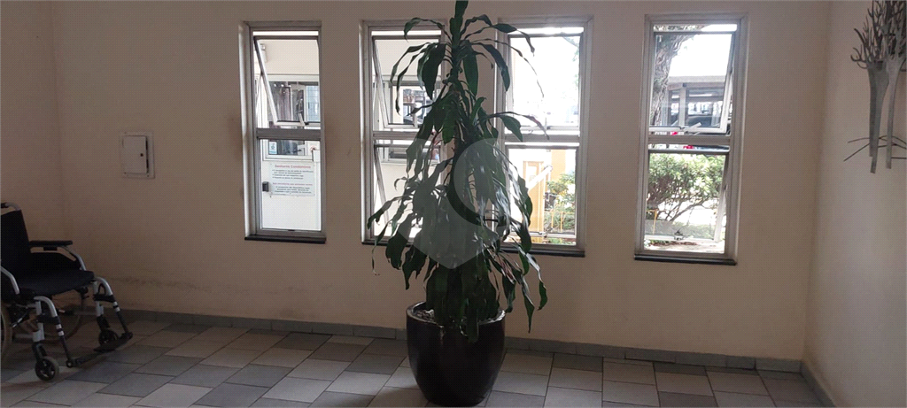 Apartamento - Parque Paineras - Itaquera - 3 Quartos - 1 Vaga - Venda / Compra