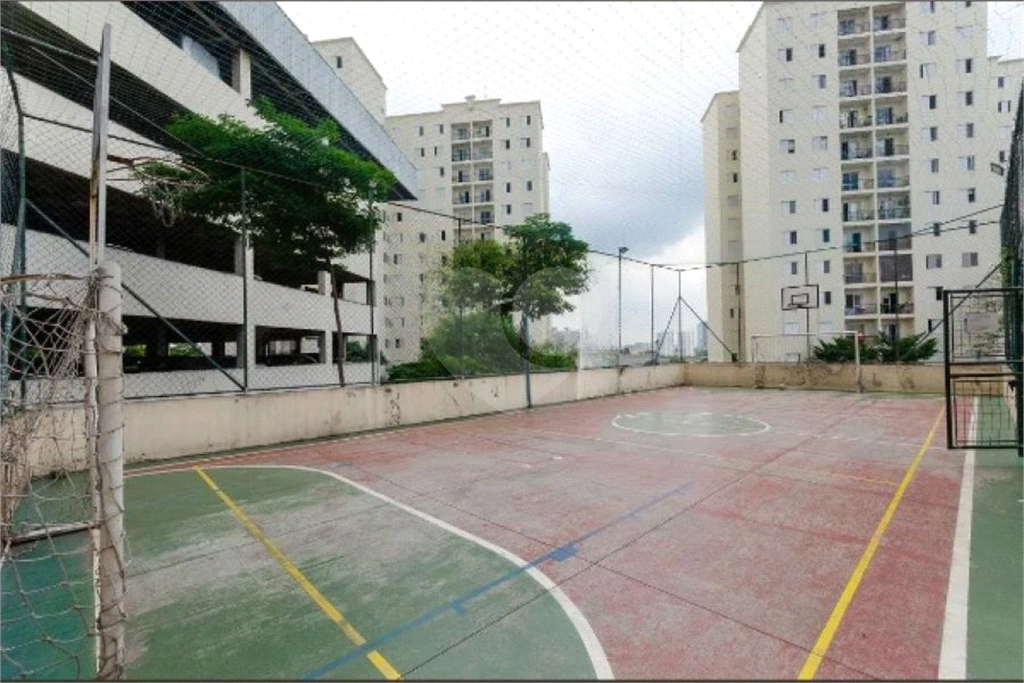 Apartamento 3 dormitórios com 2 vagas - O Refúgio dos Seus Sonhos no Mirante do Parque!